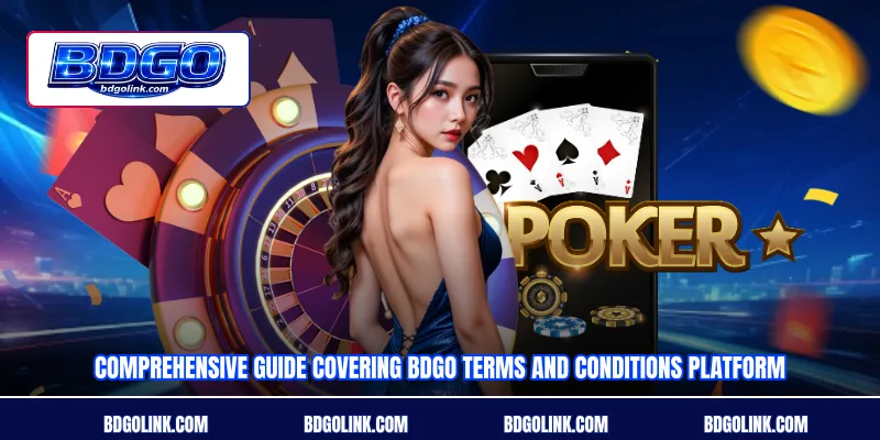 Comprehensive guide covering BDGO Terms and Conditions platform