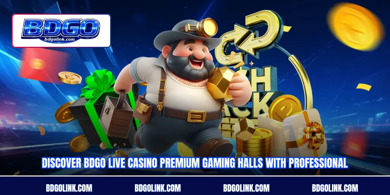 Discover BDGO Live casino premium gaming halls with professional