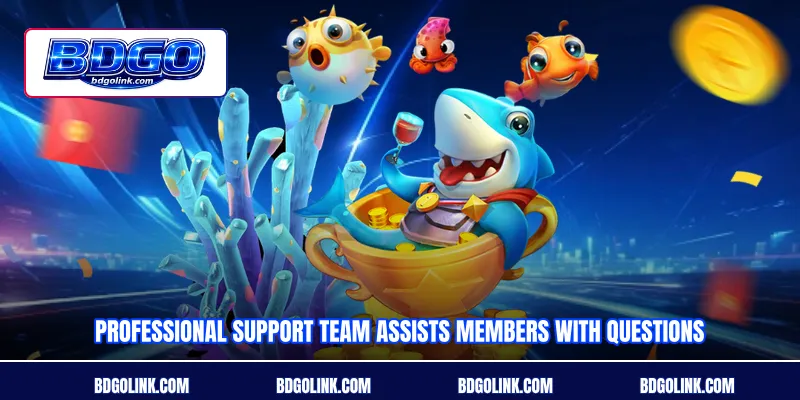 Professional support team assists members with questions